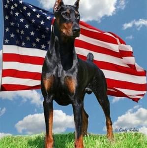 Meet your Posher, Holly